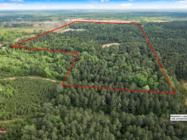 County Road 3101, De Berry, TX 75639