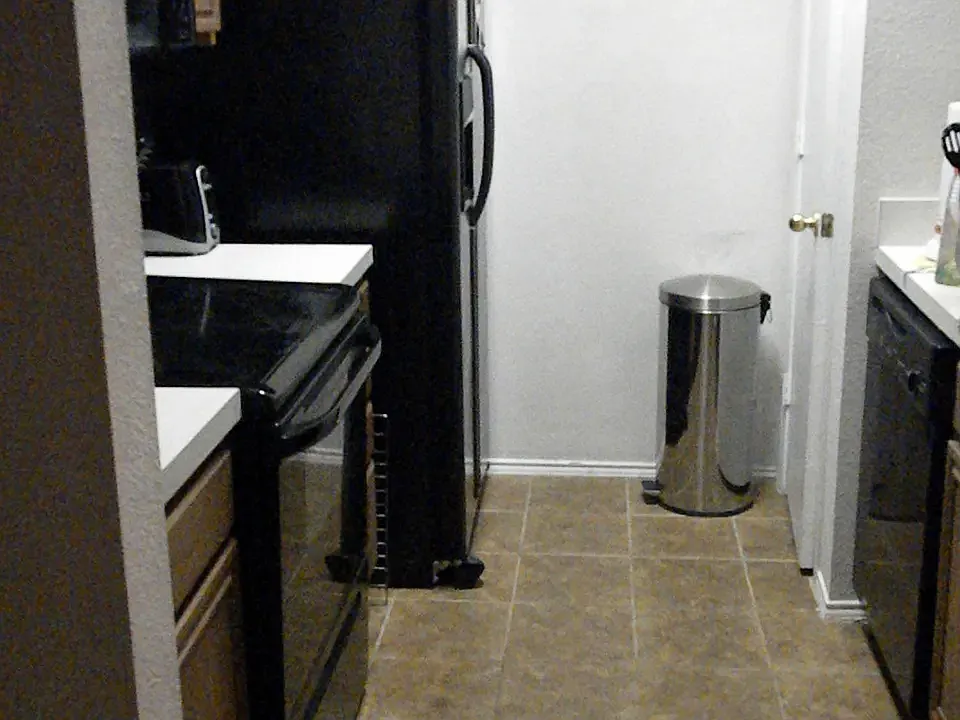 2 bed, 1133 sqft, $1,600 — Photo 4