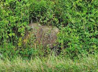 Bolts Fork Rd, Rush, KY 41168