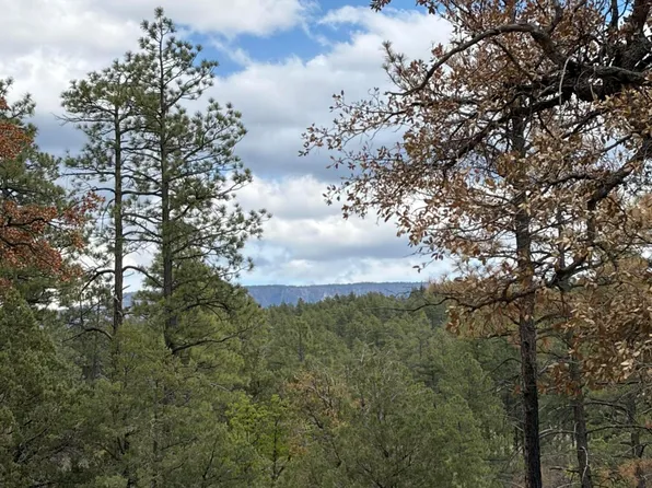 115 E Long Ranch Rd, Payson, AZ 85541