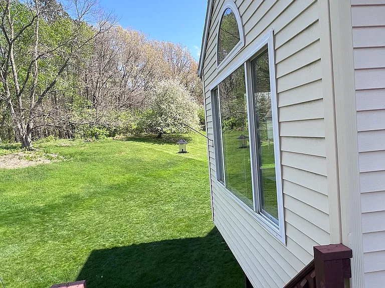 View of the backyard