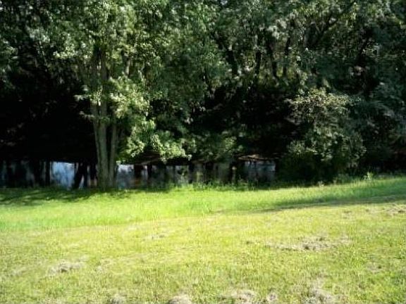 back yard Devils creek