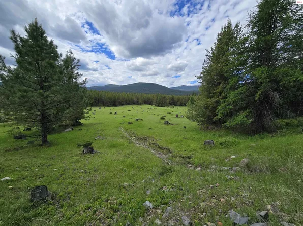 Tbd Yaak River Rd, Troy, MT 59935