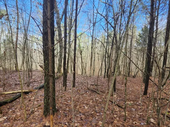 0 Crockett Pointe Lot 561, Jasper, TN 37347