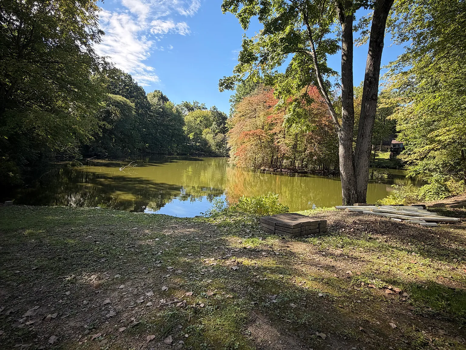 2 bed, 1.5 bath, $1,350 — Photo 4