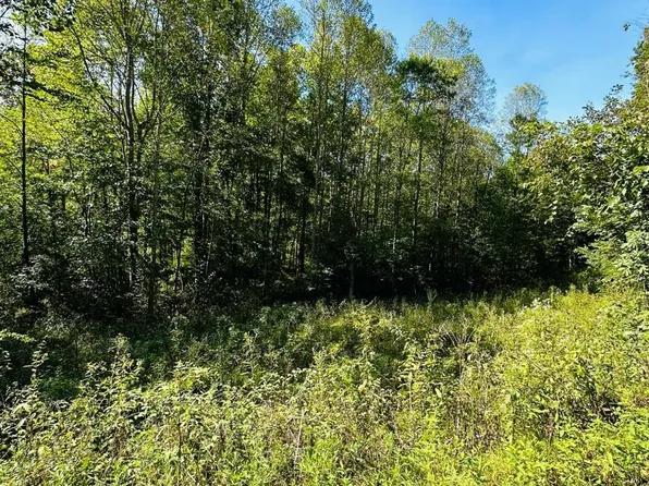 0 Keesee Rd, Vinton, OH 45686