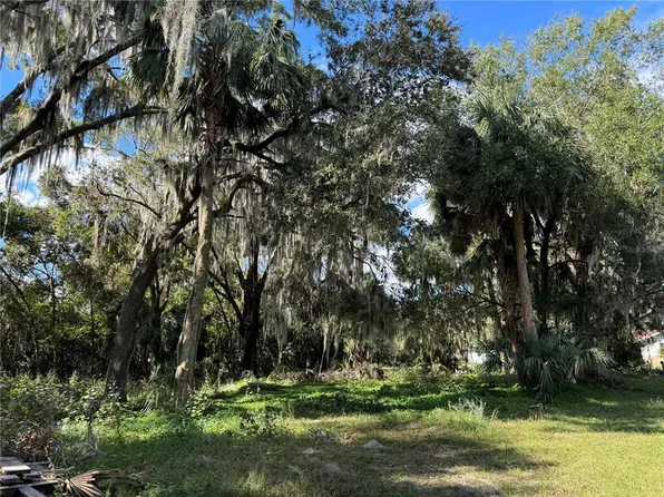 0 NW 217th St #1, Micanopy, FL 32667