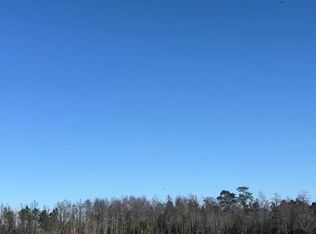 0 Petunia Rd, Rebecca, GA 31783