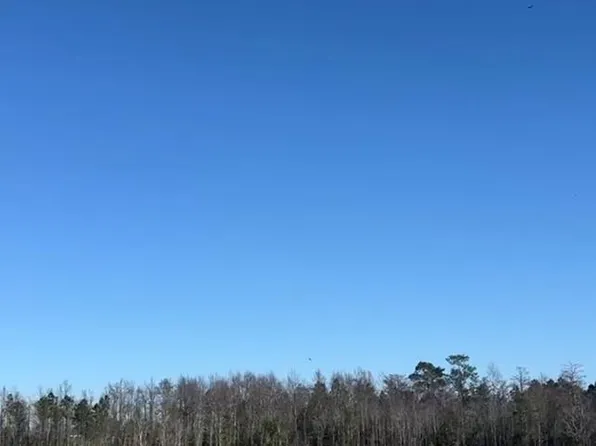 0 Petunia Rd, Rebecca, GA 31783