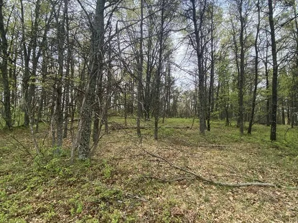 Lots 5 & 6 Maple Ridge Rd, Mio, MI 48647