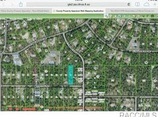 1287 E Getty Ln, Hernando, FL 34442