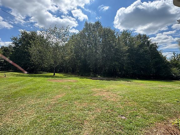 View of the back yard partially wooded and lots of green space .