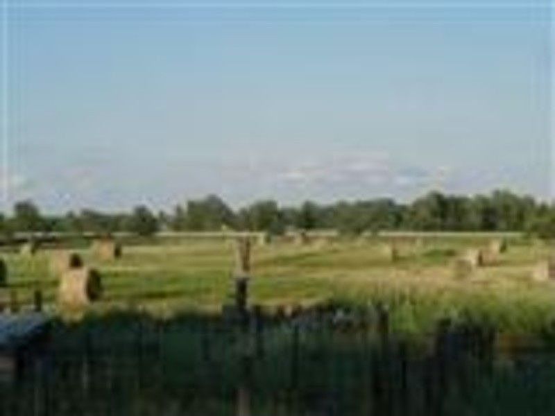 2nd image of 8570 72nd Ave