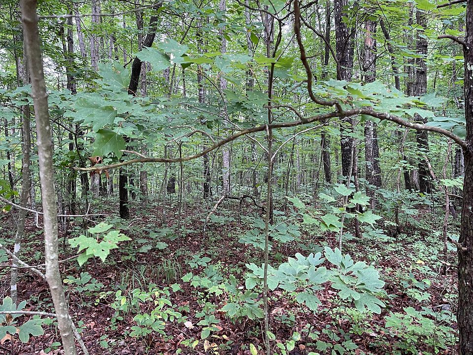 2nd image of Huckleberry Rd #5