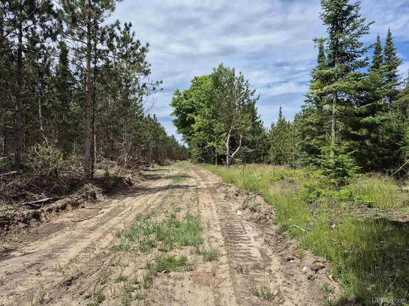 80 Acres Off, Manistique, MI 49854