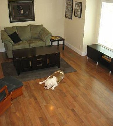 Formal Living Room