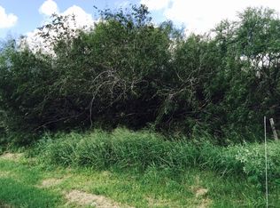 Turner Rd, San Benito, TX 78586