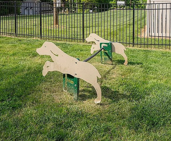 Dog Park