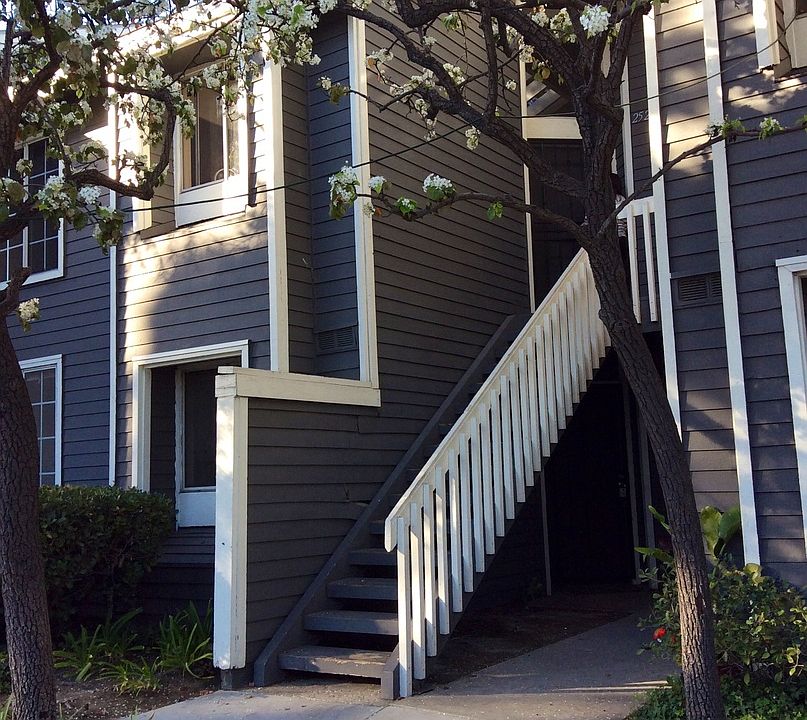 1st image of 25275 Pine Creek Ln