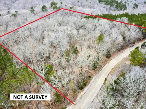 County Road 493, Paris, MS 38949