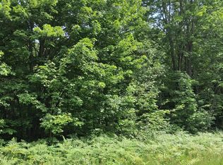 569 Crestwood Dr, Mancelona, MI 49659