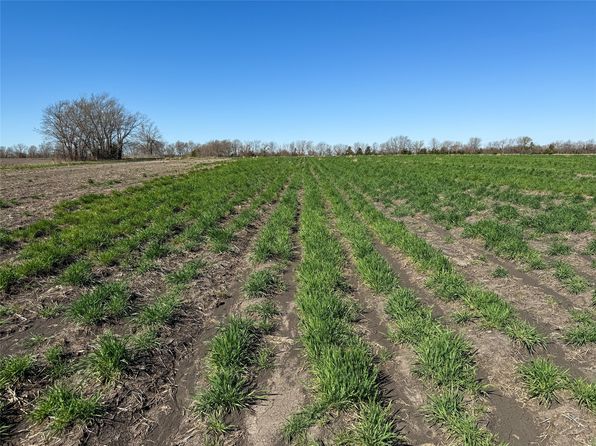 Tbd Fm 128, Ben Franklin, TX 75415