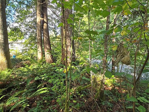 5th image of 0 Lot BB SE 159th Street