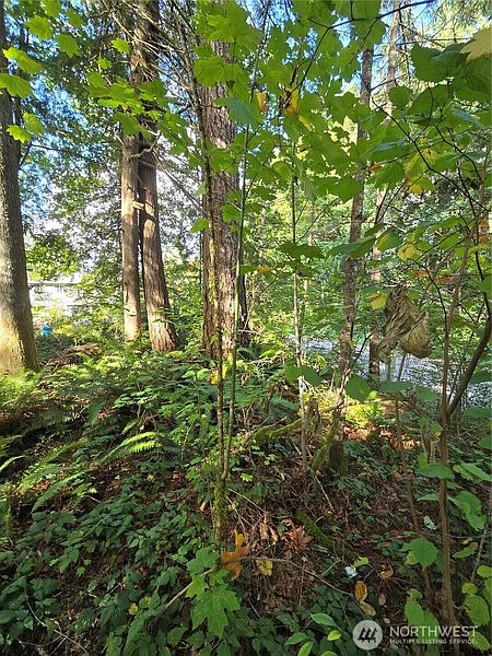5th image of 0 Lot BB SE 159th Street