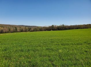 200 Vincent Hill Rd, Port Crane, NY 13833