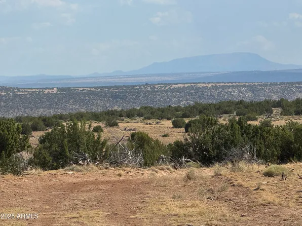 Lot 545C Woodland Valley Ranch -- #545C, St Johns, AZ 85936