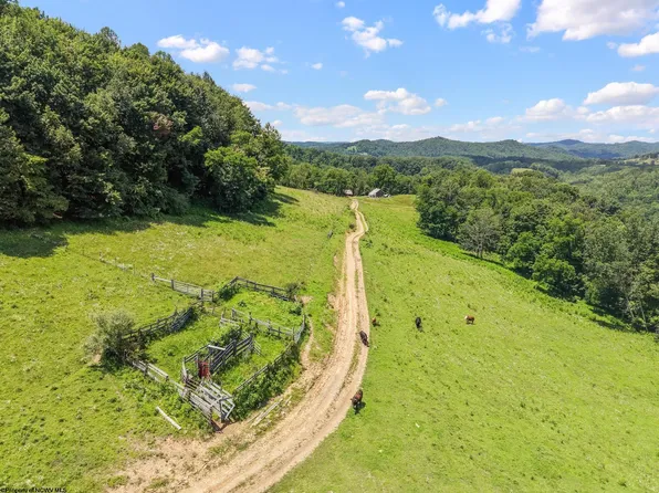 3175 Glady Creek Rd, Ireland, WV 26376