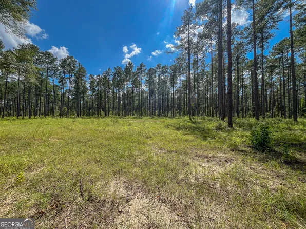 0 Mark Wood Rd Lot 1, Dexter, GA 31019