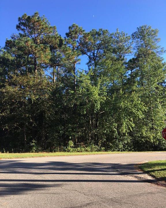 2nd image of 251 Juniper Creek Blvd