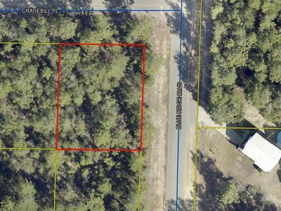 5 Cranebill Pl, Defuniak Springs, FL, 32433
