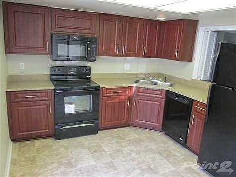 5th image of 10387 Carrollwood Ln APT 304