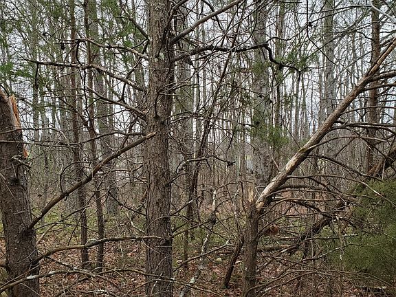 2nd image of 0 Belmont Dr Lot 2