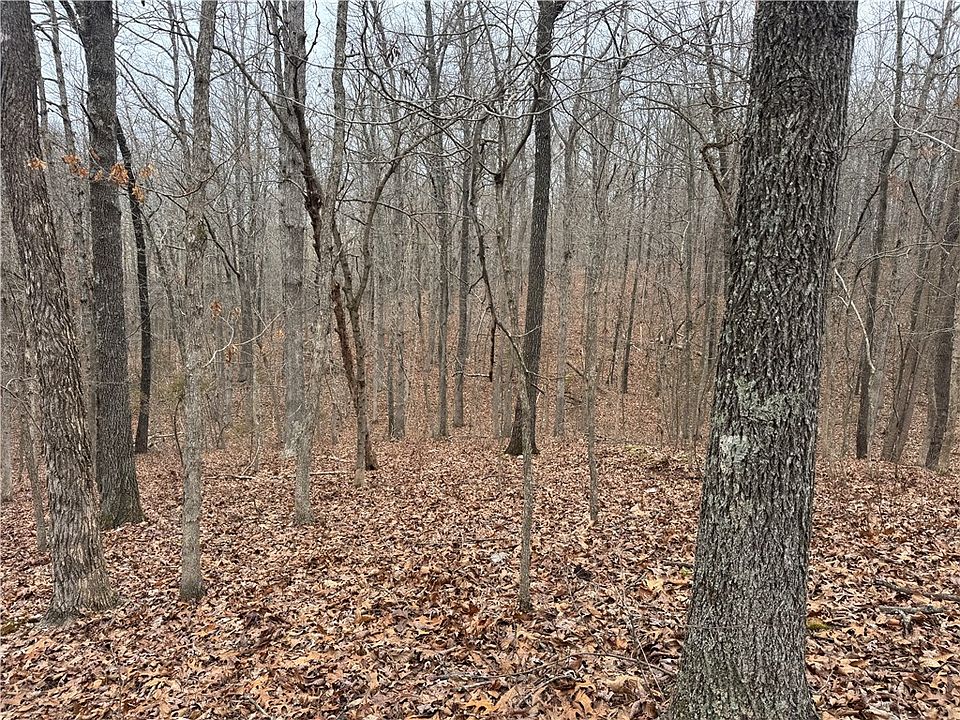 2nd image of 25401 State Highway 123