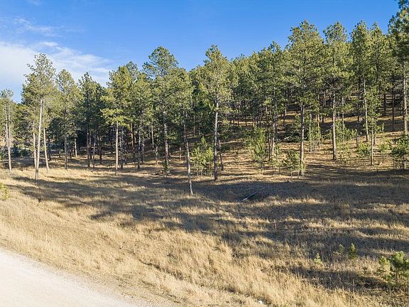 3rd image of Tbd Caledonia Trl