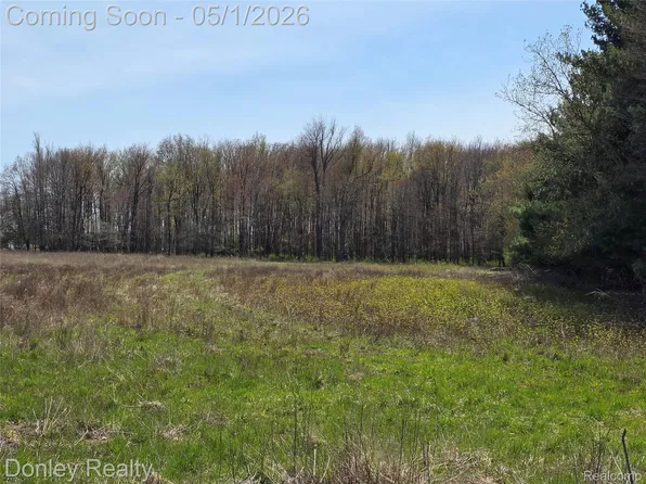 Hyde Rd, Carsonville, MI 48419