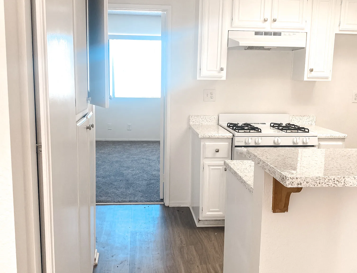 1517 Carson St — Photo 3