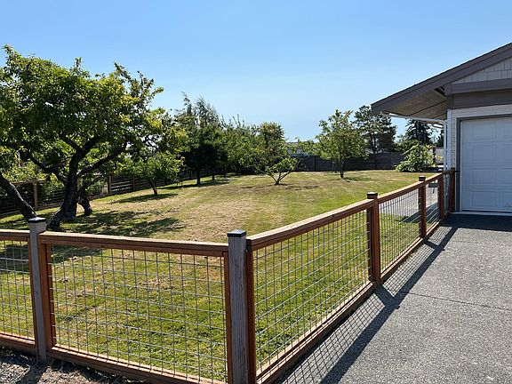 Photo showing the backyard and fruit trees from the cul-de-sac facing the garage.