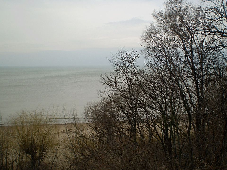2nd image of 2822 Lake Shore Dr