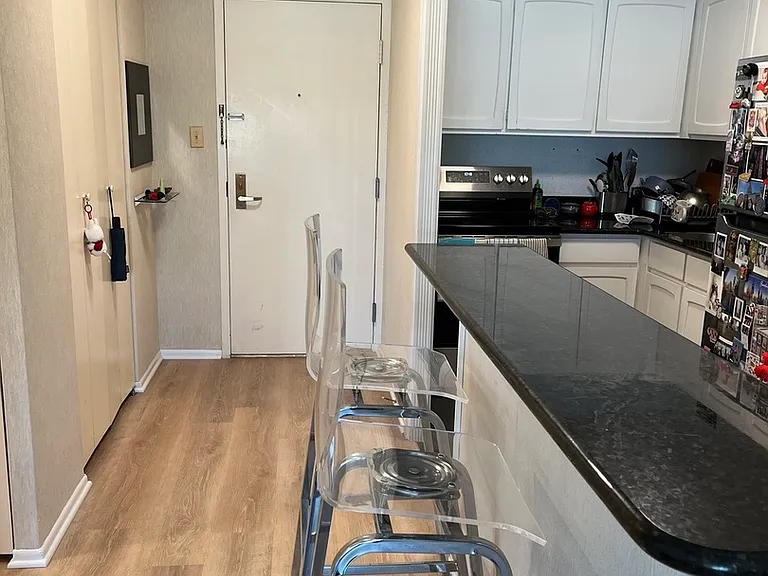 777 N Michigan Ave #2507 — Photo 5