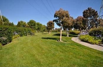 4th image of 352 Meridian Dr