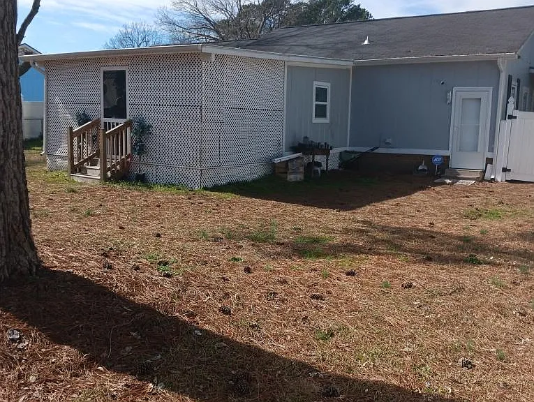 Back yard