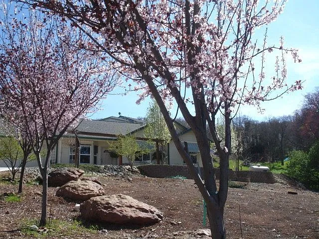 3299 Dunn Rd photo 1