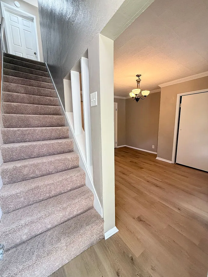 3 Bed, 1.5 Bath in Overbrook/ Brookline for rent- Huge yard and great layout! — Photo 2