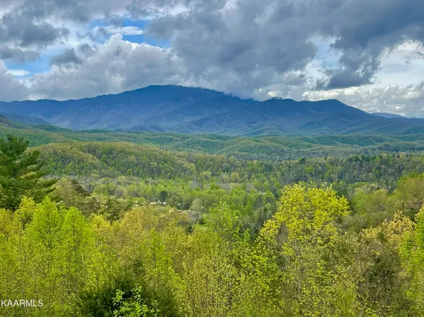 Eagles Bluff Way, Cosby, TN 37722