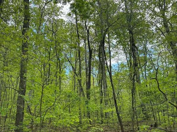 TRACT 1B River Rd Tract 1B, Decatur, TN 37322