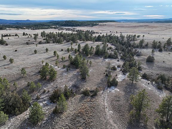 Dji Fly 20260210 153936 0800 1771352765128 Photo